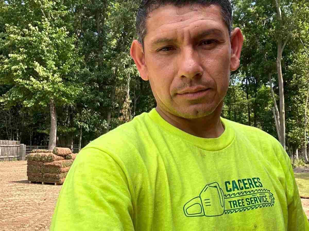 Caceres Tree Service