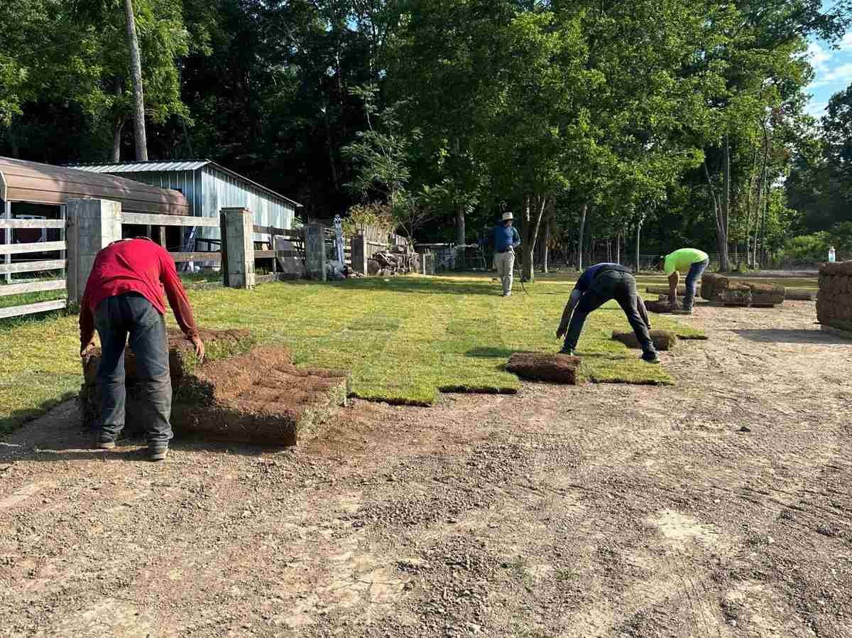 Caceres Tree Service