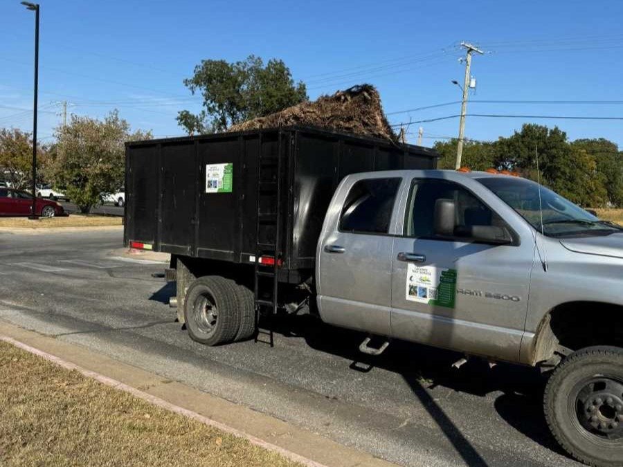 Caceres Tree Service