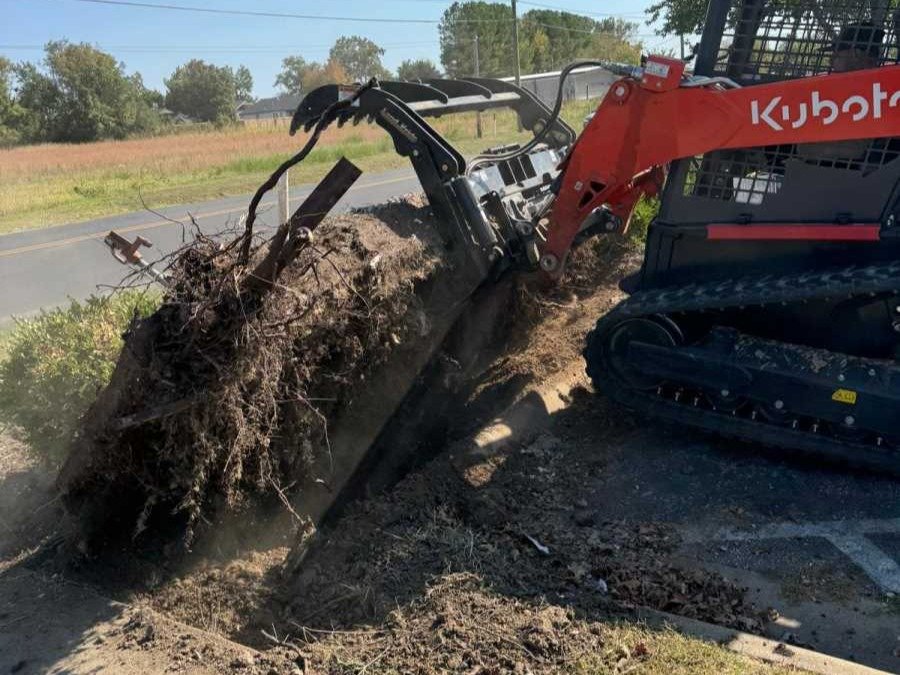 Caceres Tree Service