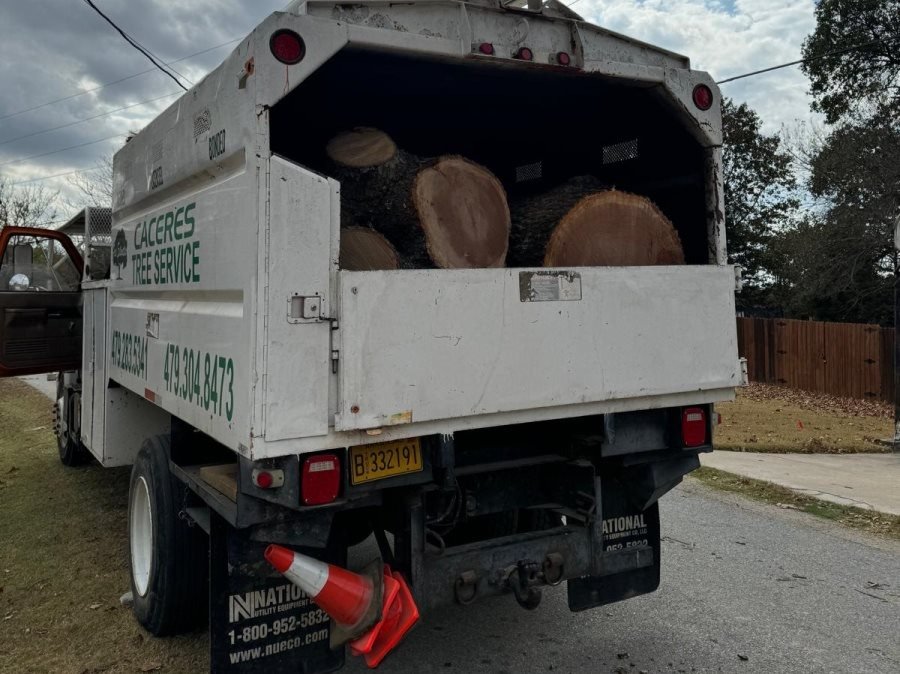 Caceres Tree Service