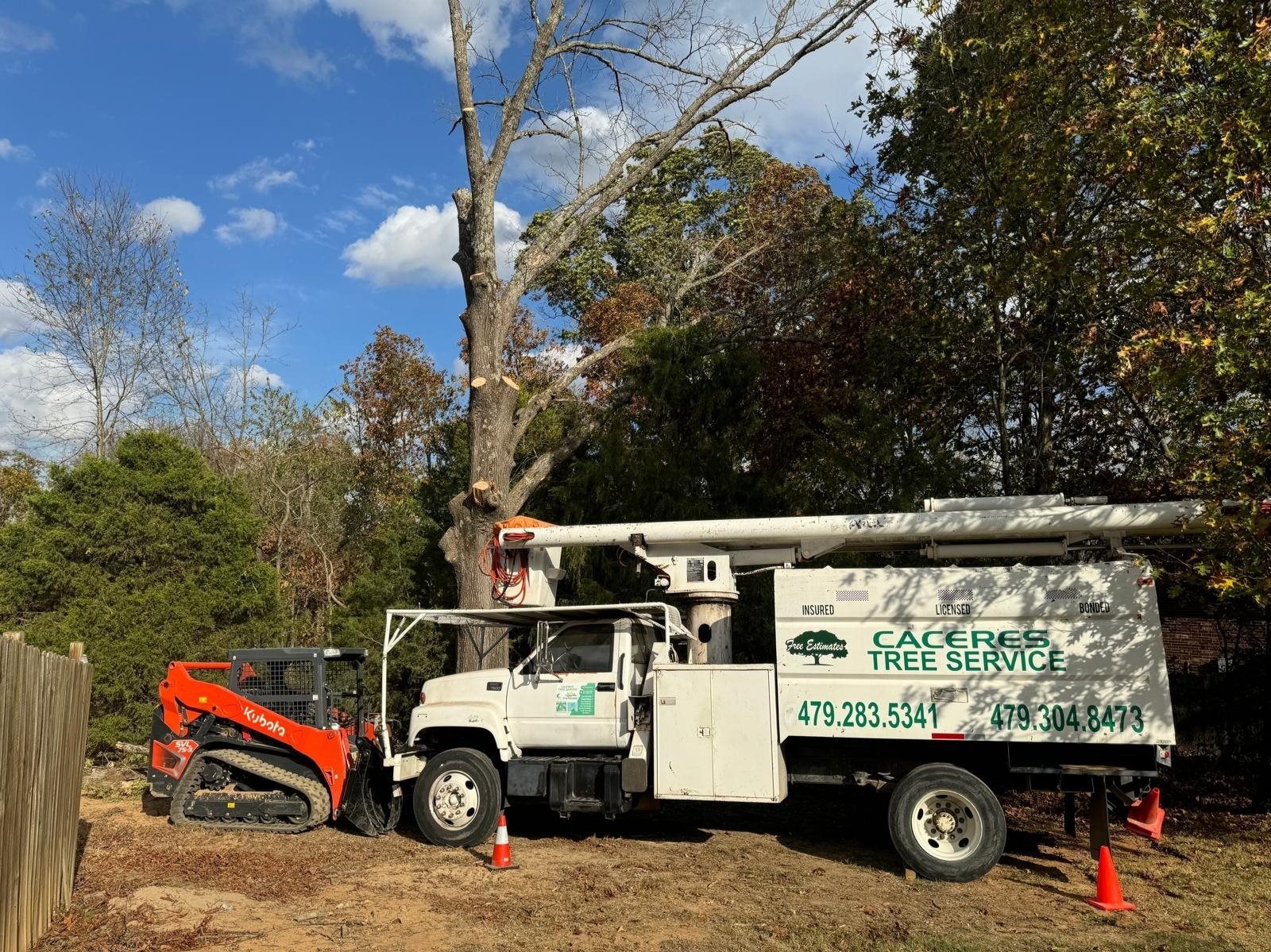 Caceres Tree Service