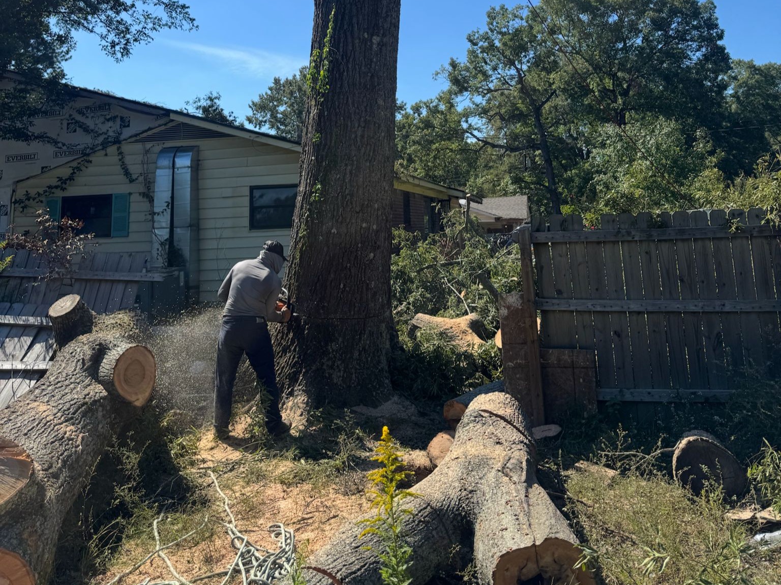 Caceres Tree Service
