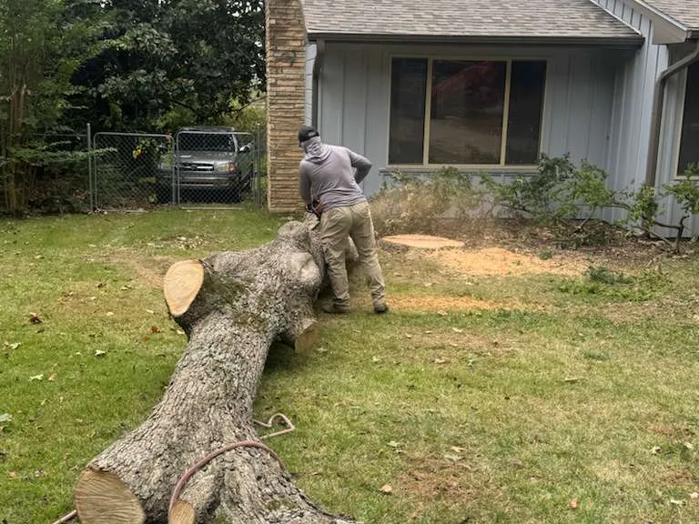 Caceres Tree Service