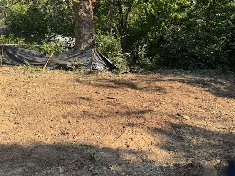 Caceres Tree Service