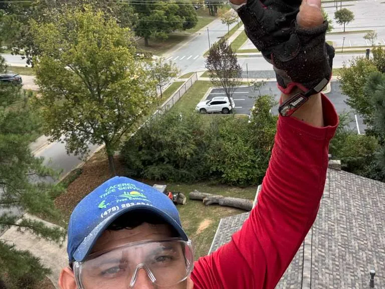 Caceres Tree Service