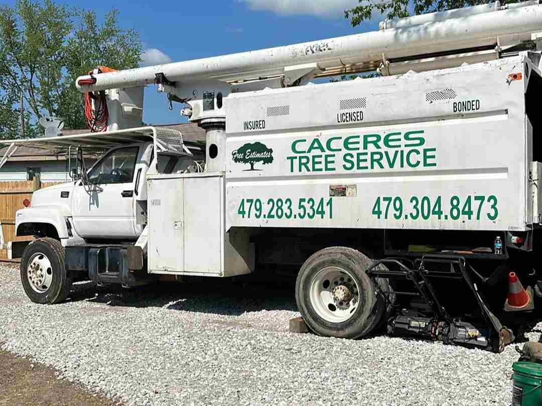 Caceres Tree Service