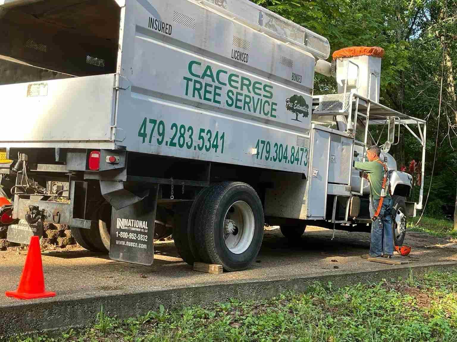 Caceres Tree Service